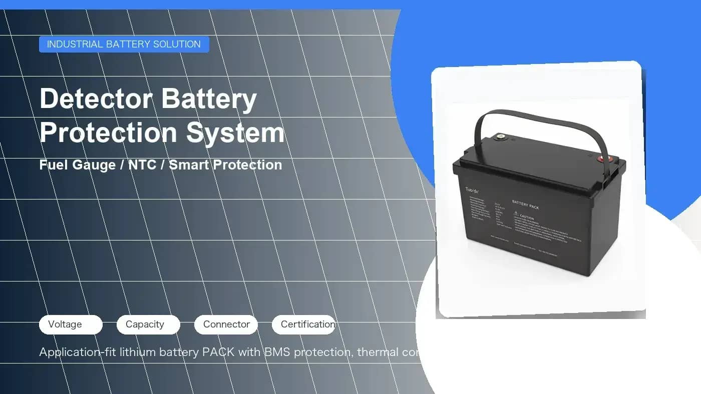 Detector battery protection system overview Detector battery protection system overview